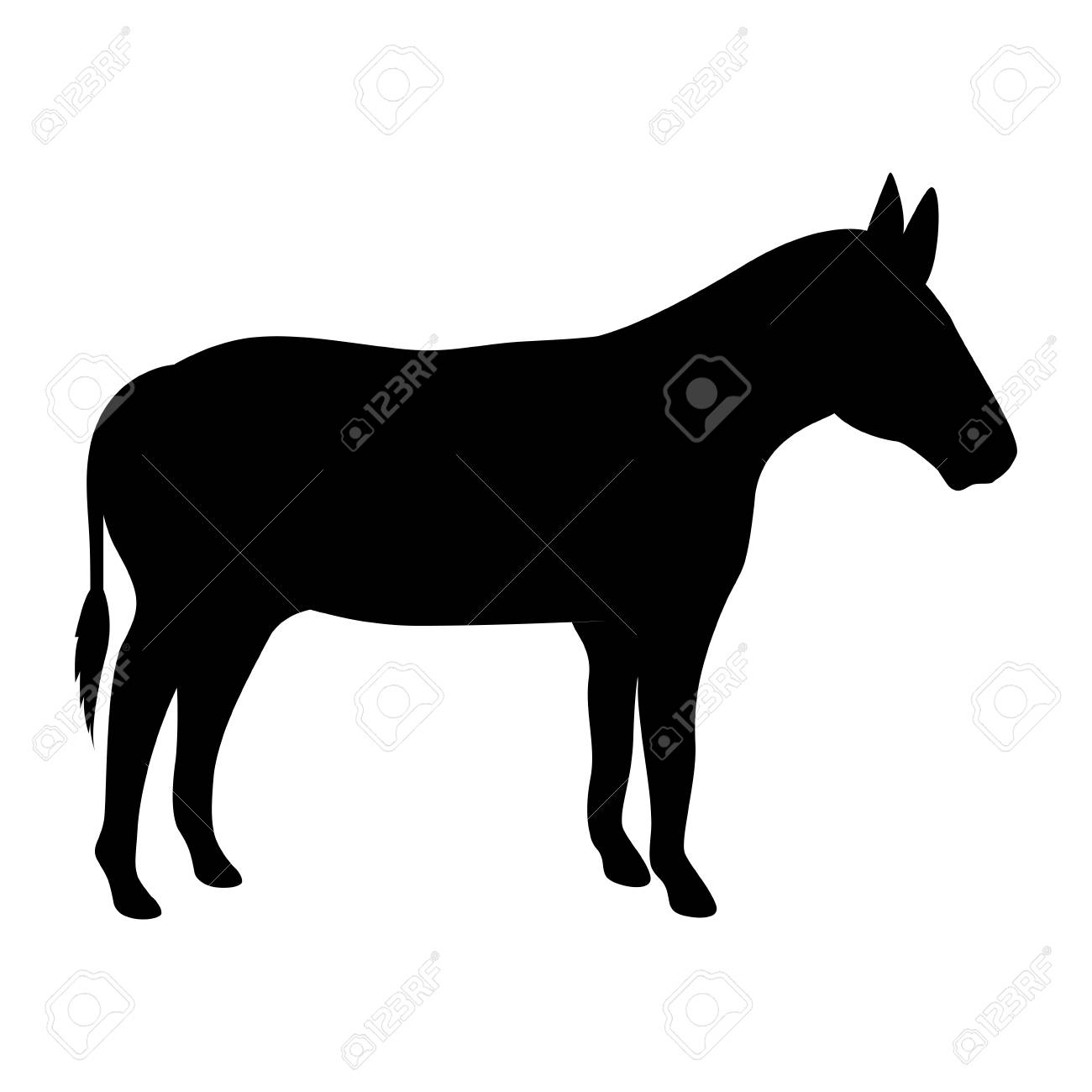 1300x1300 Huge Collection Of 'mule Silhouette' Download More Than Images