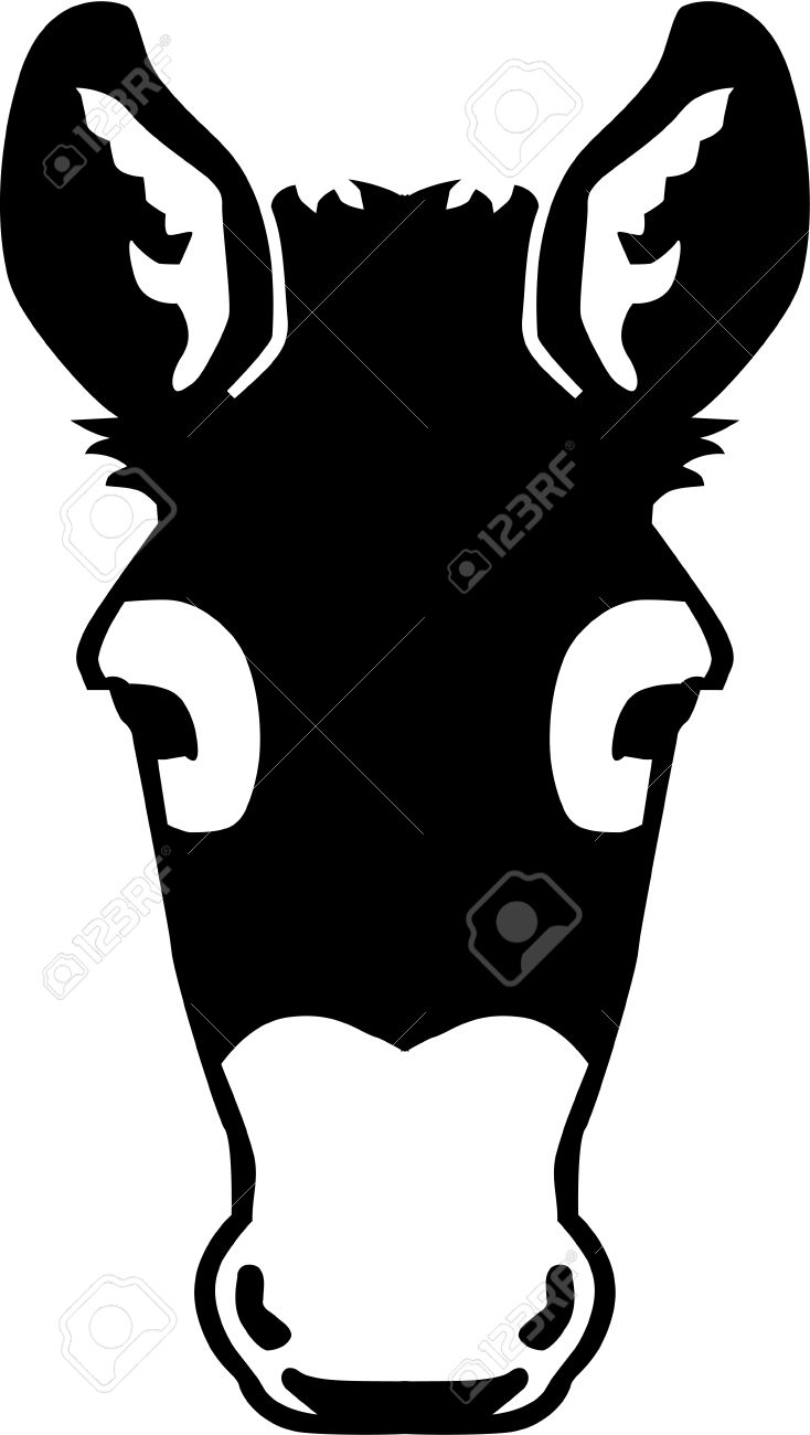 734x1300 Clipart Mule Head