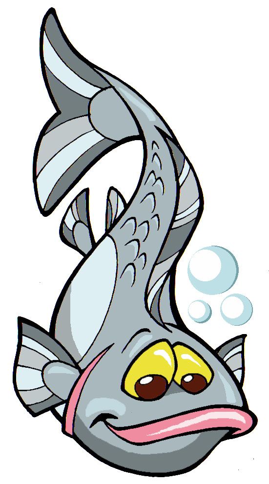 551x991 I Was Commissioned To Create Several Fish Illustrations To Use As