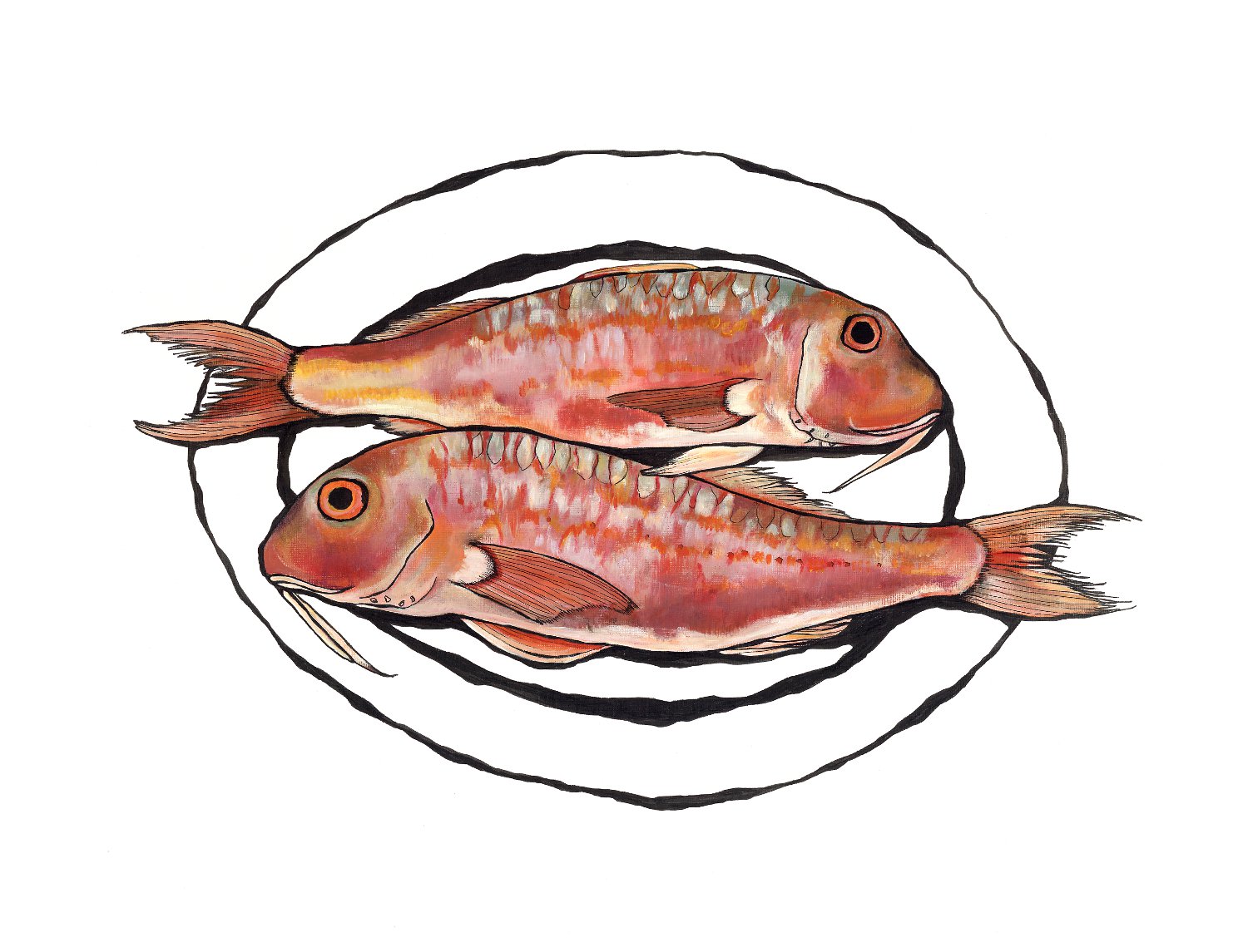 1500x1145 Lucy Routh Red Mullet Fish Prints Limited Edition Prints