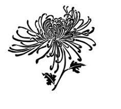 236x213 image result for spider mum line drawing line art spider mums