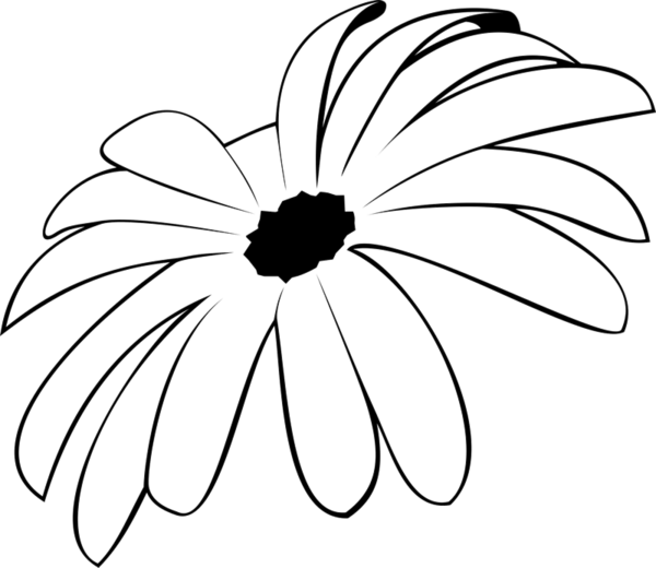 600x520 Spider Mum Rubber Stamp Flower Leaf Stamps Stamptopia