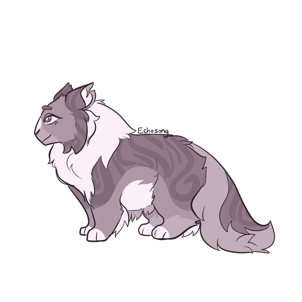 1000x1000 Murder Cat Designs