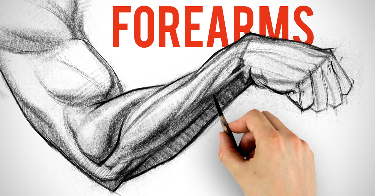 1200x630 Drawing And Shading Forearms