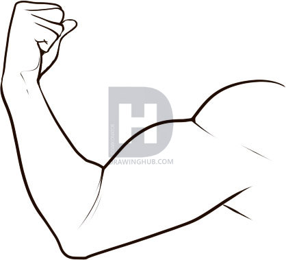 418x379 How To Draw A Muscle, Step