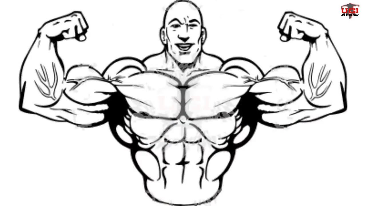 1280x720 How To Draw Muscles Step