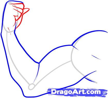 418x379 How To Draw A Muscle, Step