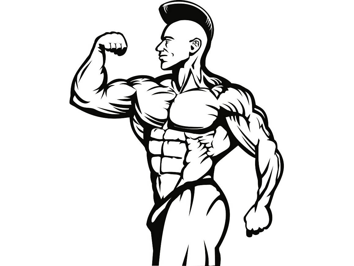 1156x869 Huge Collection Of 'bodybuilder Drawing' Download More Than
