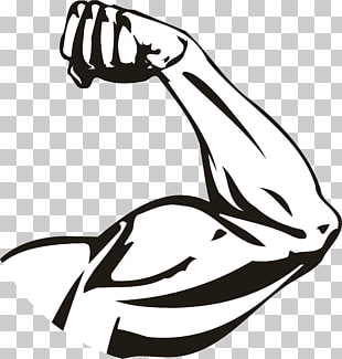 310x325 Muscle Drawing Arm, A Strong Upper Arm, Illustration