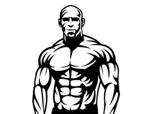 310x233 Bodybuilder Vector Graphics Free Vectors Ui Download
