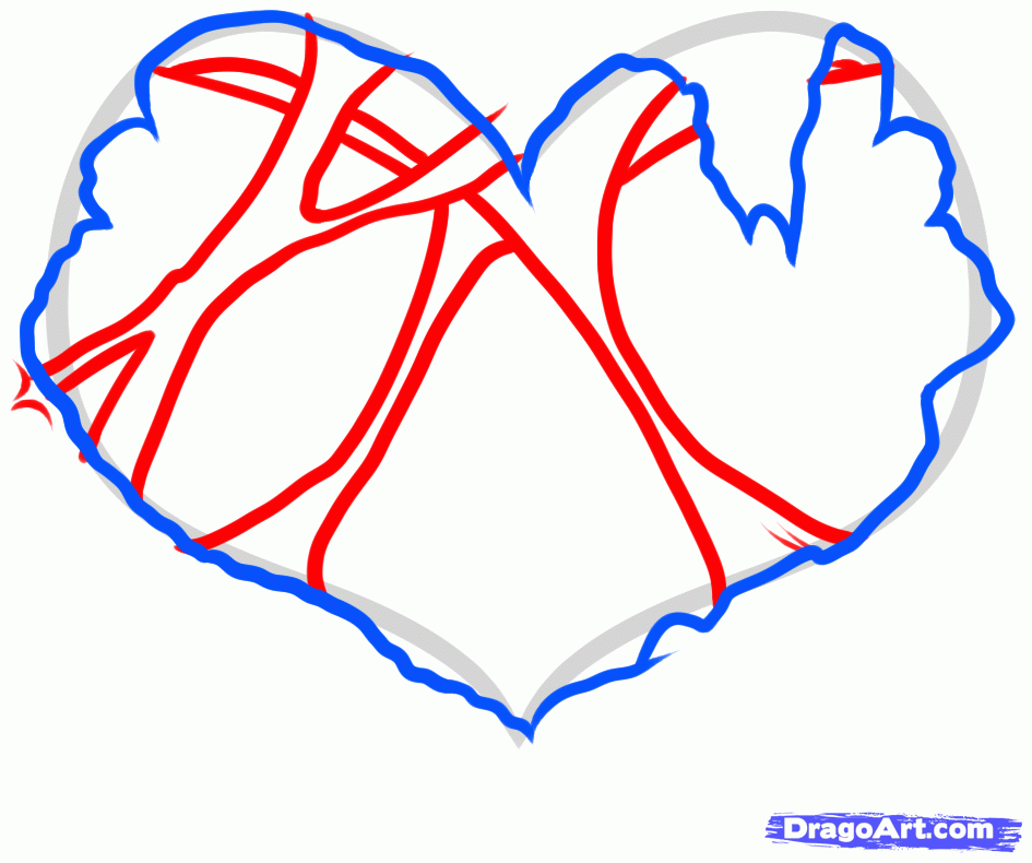 945x790 draw a heart muscle, heart muscle, step