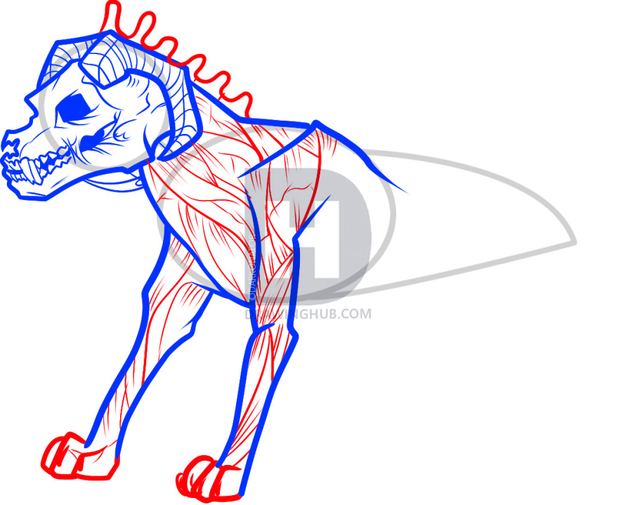 887x720 How To Draw A Hellhound, Hell Hound, Step