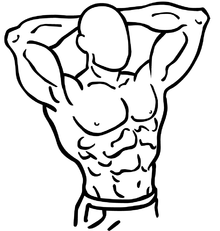 220x231 Isometric Exercise