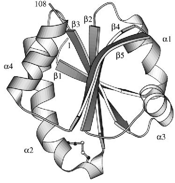 561x588 Schematic Drawing Of Threedimensional Structure Of E Coli Trx It