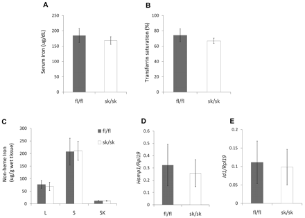 440x314 Skeletal Muscle Hemojuvelin Is Dispensable For Systemic Iron