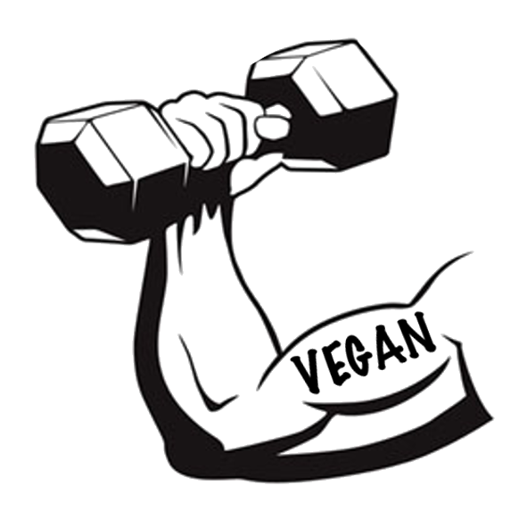 591x591 Collection Of Free Drawing Muscles Muscular Animal Download On Ui Ex