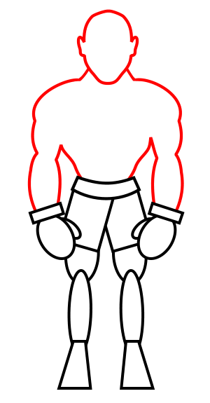 300x575 Drawing A Cartoon Boxer