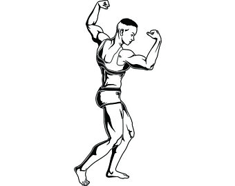 340x270 Female Body Muscles Etsy