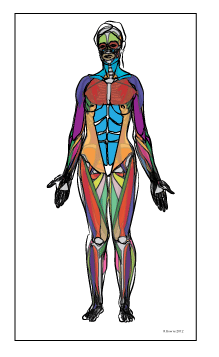 219x357 Paint Draw Paint, Learn To Draw Anatomy Basics For Artiststhe