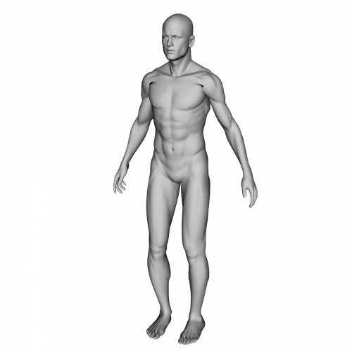 500x500 Free Photos Muscular Search, Download