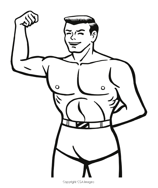 537x640 Muscular Illustrations Unique Modern And Vintage Style Stock