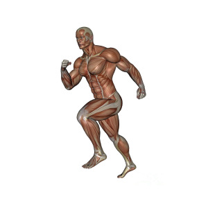 300x300 Muscular Man Running Digital Art