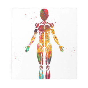 307x307 Female Anatomy Invitations Stationery Zazzle Au