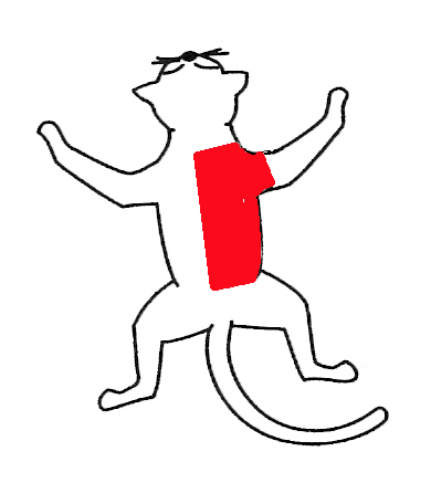 390x456 Muscular System