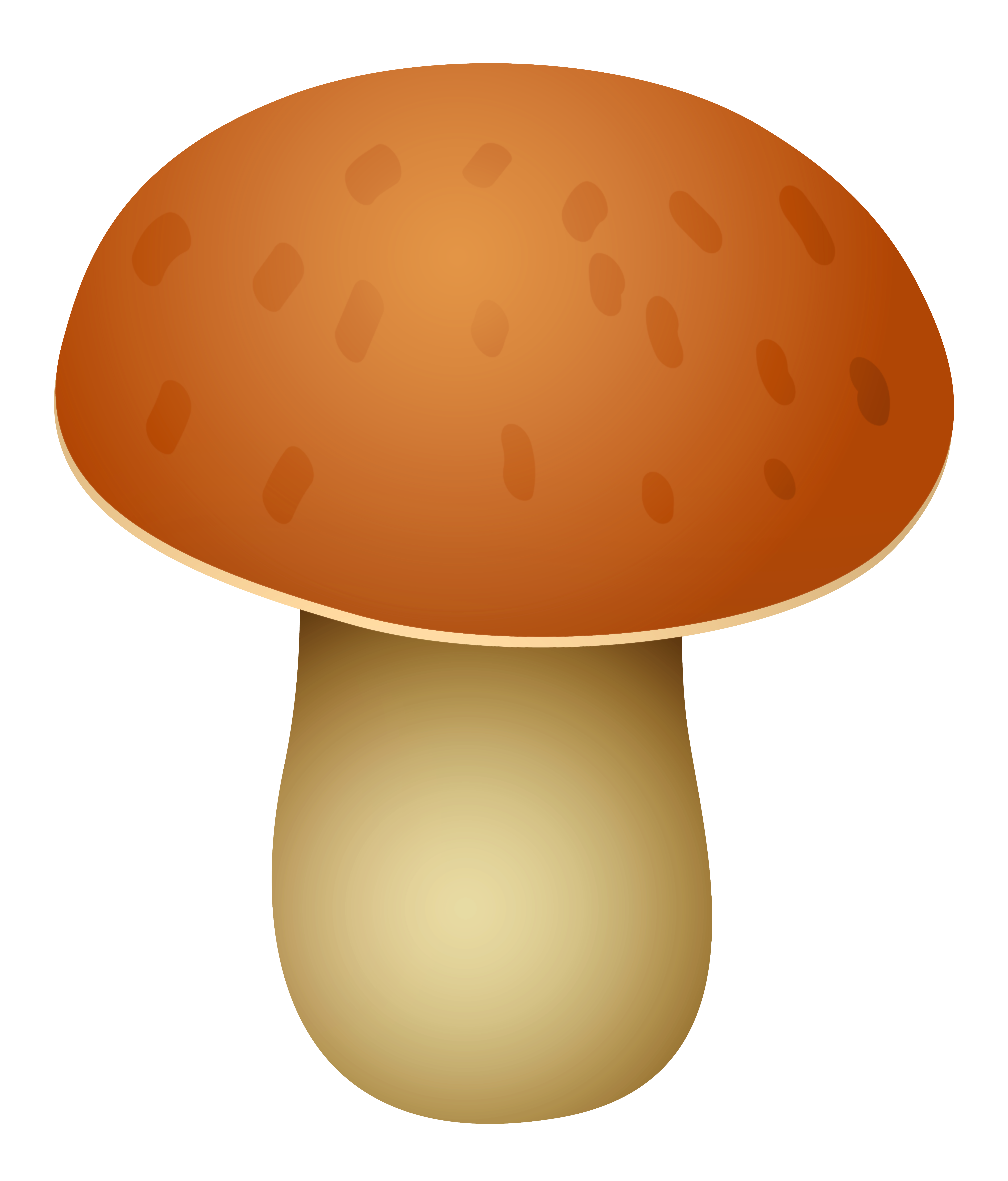 Mushroom Cartoon Drawing