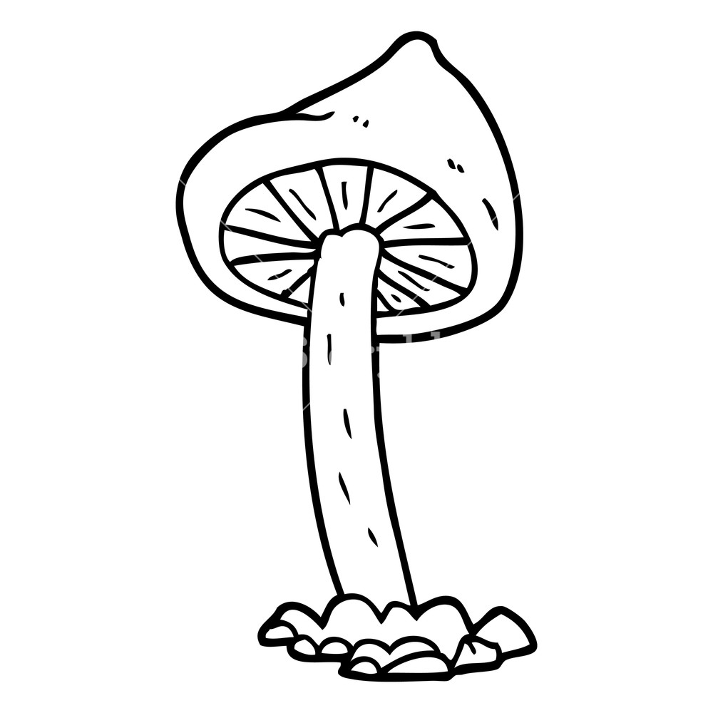 1000x1000 Freehand Drawn Black And White Cartoon Mushroom Royalty Free Stock