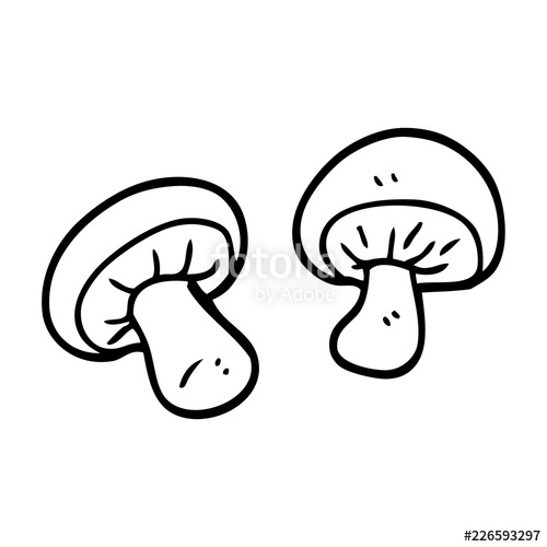 500x500 Line Drawing Cartoon Mushrooms Stock Image And Royalty Free