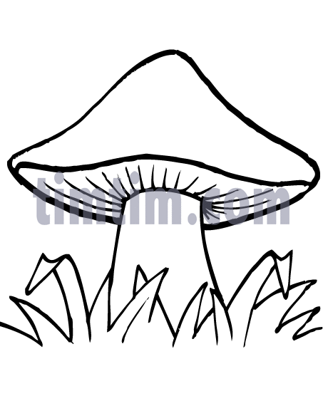 453x563 Free Drawing Of A Mushroom Bw From The Category Cooking Food