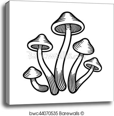 382x390 mushrooms monochrome illustration, canvas print barewalls