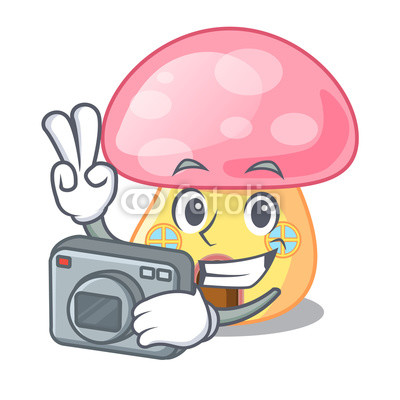 400x400 Photographer Mushroom House In A Shape Character Buy Photos Ap