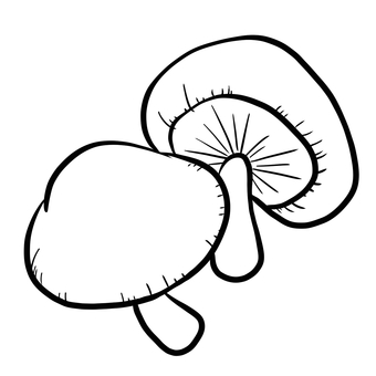 Mushroom Line Drawing | Free download on ClipArtMag