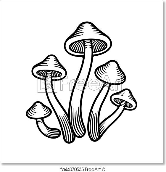 561x581 Free Art Print Of Mushrooms Monochrome Illustration Magic