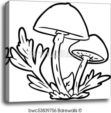 382x390 Line Drawing Of A Wild Mushrooms, Canvas Print Barewalls Posters