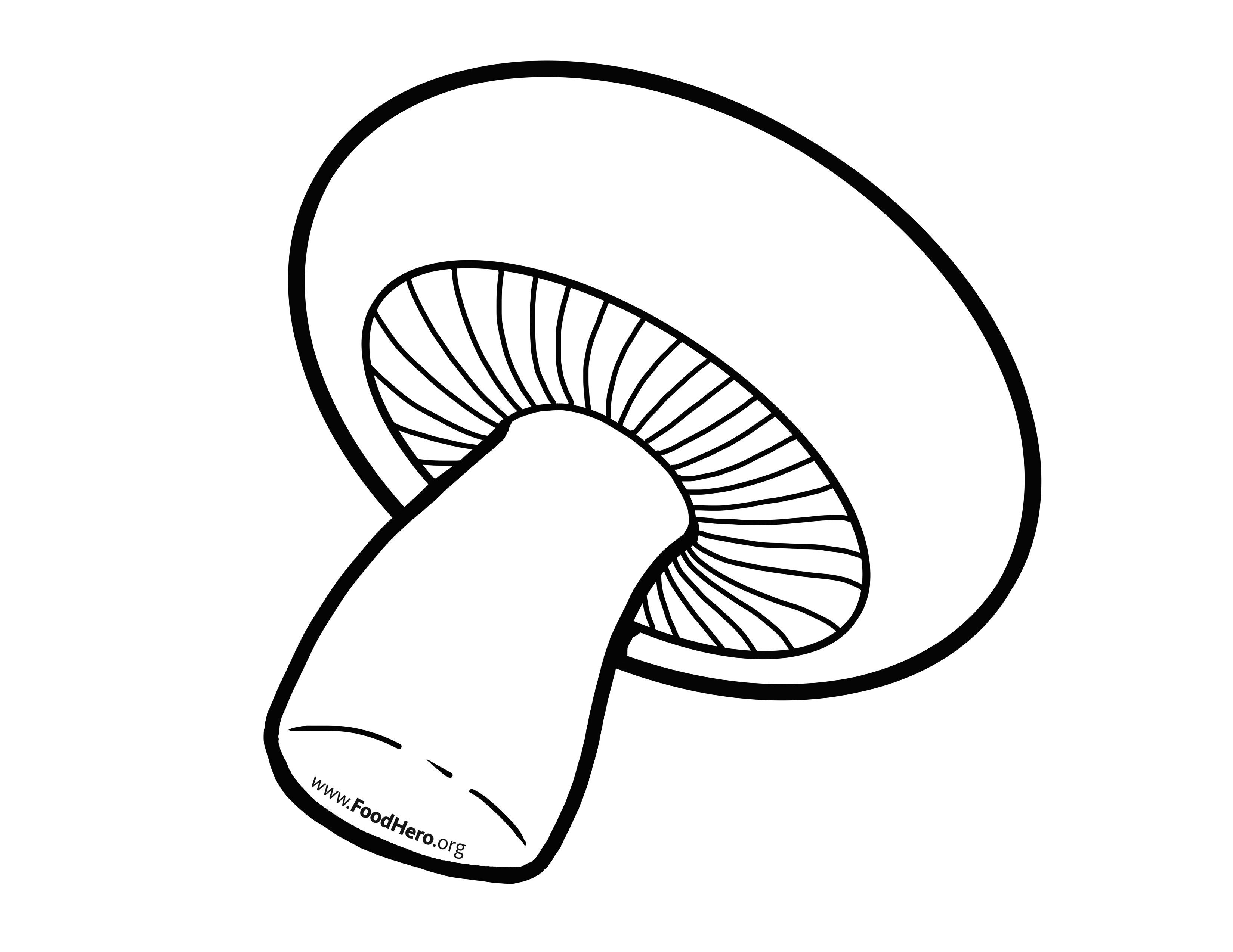 3300x2550 Mushroom Outline Food Hero