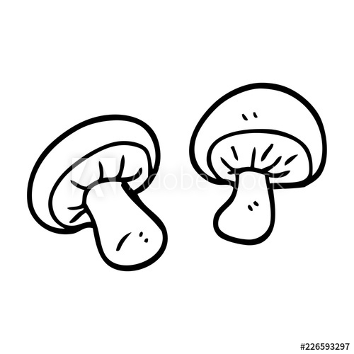 500x500 Line Drawing Cartoon Mushrooms