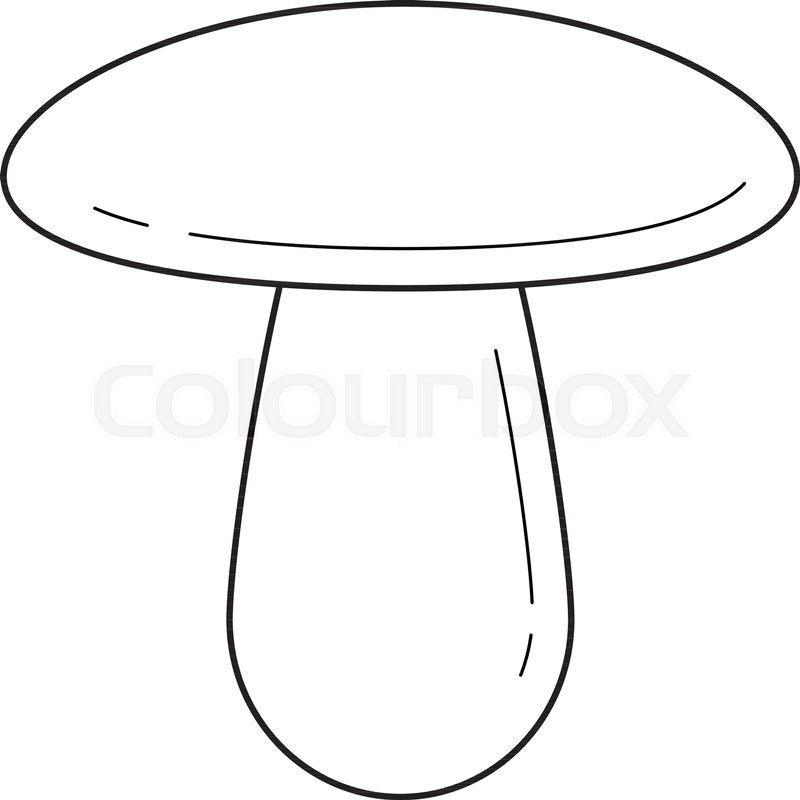 800x800 Cep Mushroom Line Icon Isolated On Stock Vector Colourbox