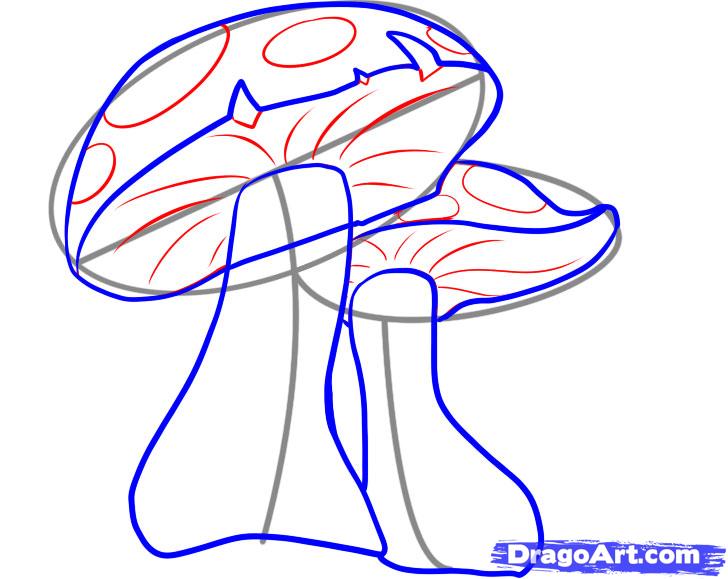728x579 How To Draw Mushrooms, Step