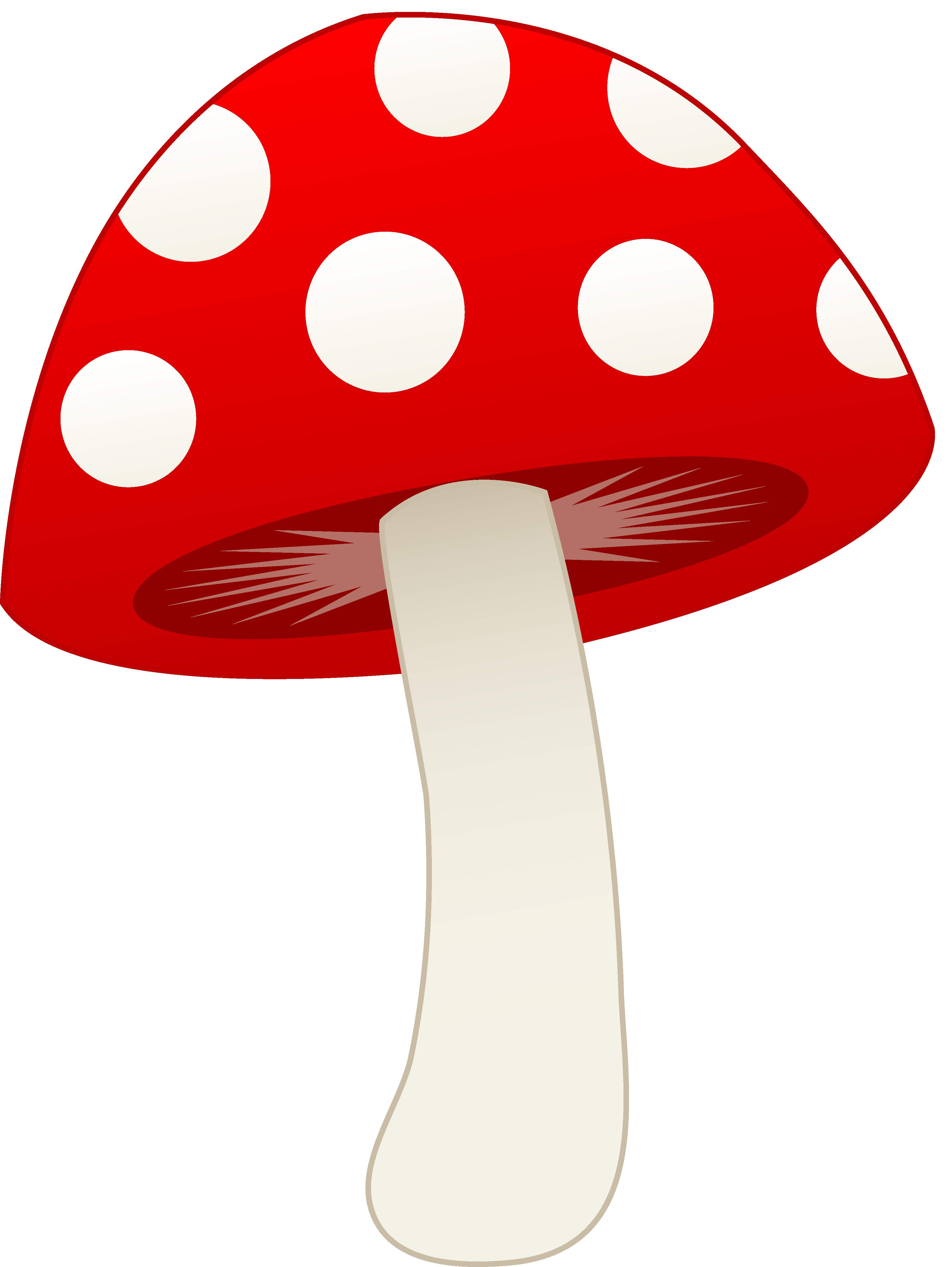 3584x4768 Mushroom Clipart