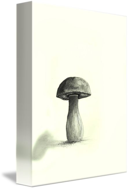 442x650 Mushroom