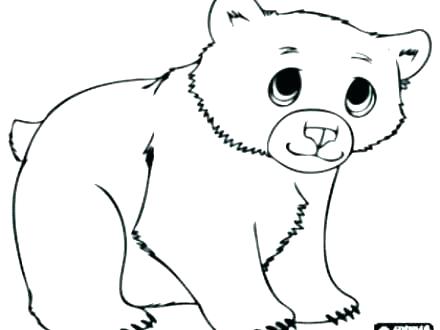 440x330 Polar Bear Coloring