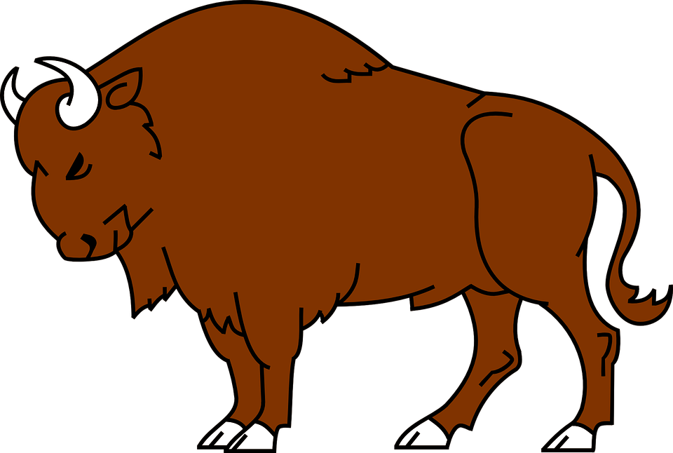 960x646 Cliparts For Free Download Bison Clipart Muskox And Use