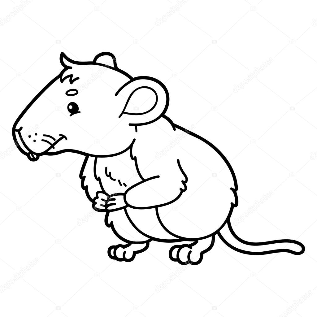 1024x1024 Mammals Drawing Vole For Free Download