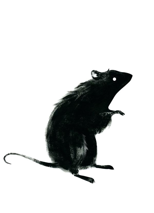 600x826 rat drawing rat drawing rat drawing outline