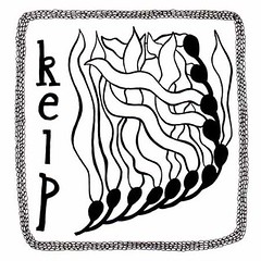 240x240 The World's Best Photos Of Drawing And Kelp