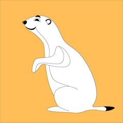 240x240 Cartoon Muskrat Face, Vector Illustration Lining Draw