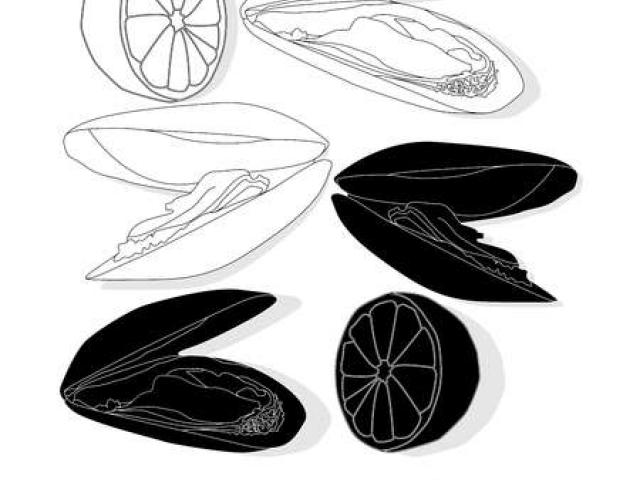 640x480 free mussels clipart, download free clip art